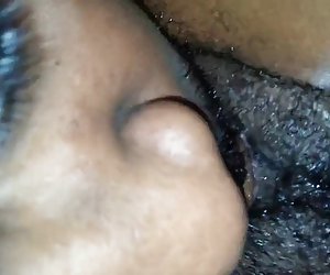 Bo cabeludo choc lamber bichano mollado